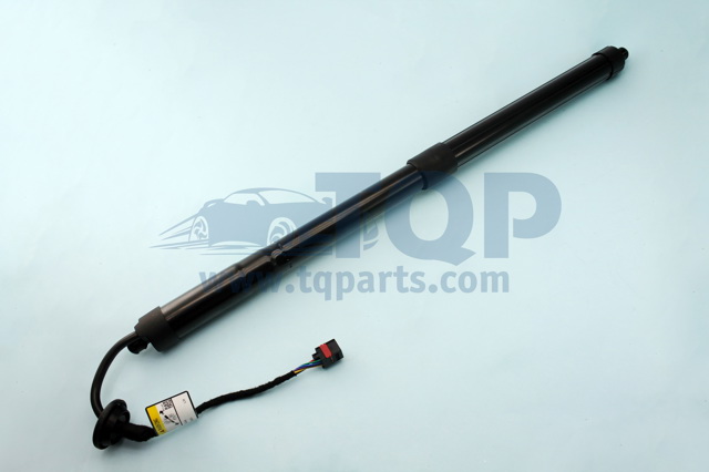 Амортизатор задньої ляди TQ31070 TQPARTS