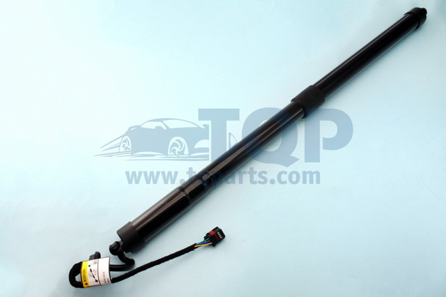 Амортизатор двері п'ятої TQ31072 TQPARTS