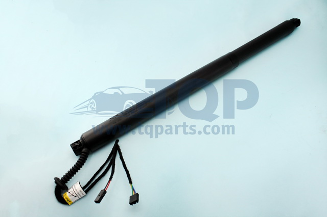 Амортизатор задньої ляди TQ31073 TQPARTS
