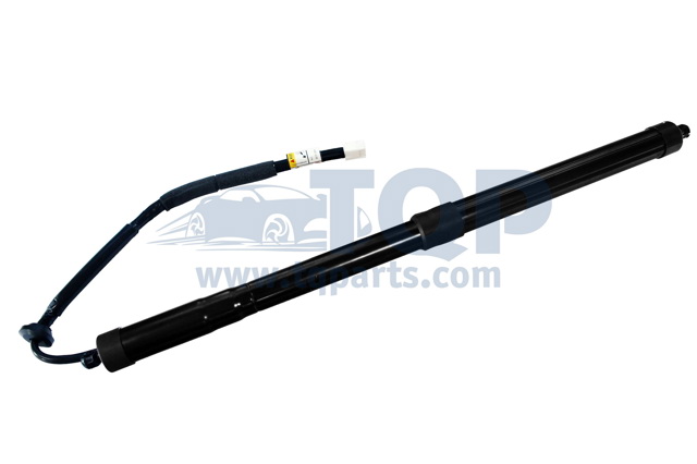 Амортизатор двері задньої TQ31081 TQPARTS