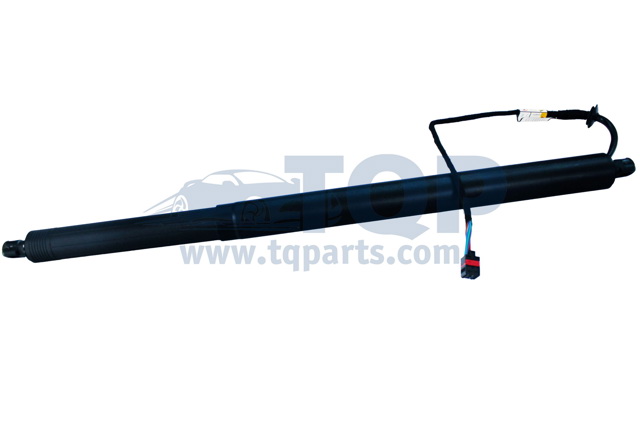 Амортизатор двері задньої TQ31088 TQPARTS