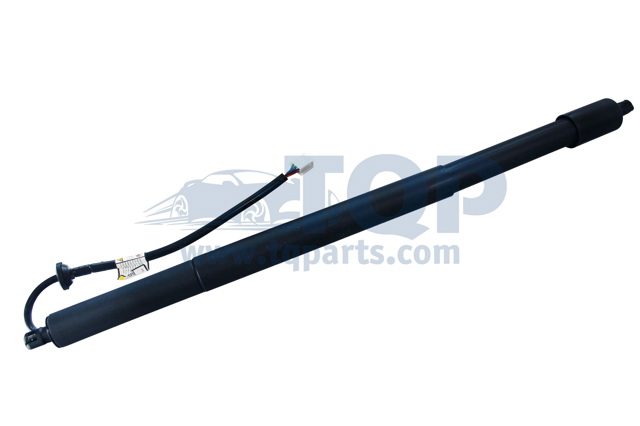 Амортизатор кришки багажника / двері 3/5-ї задньої TQ31099 TQPARTS
