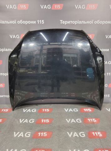Капот 4L0823029A VAG