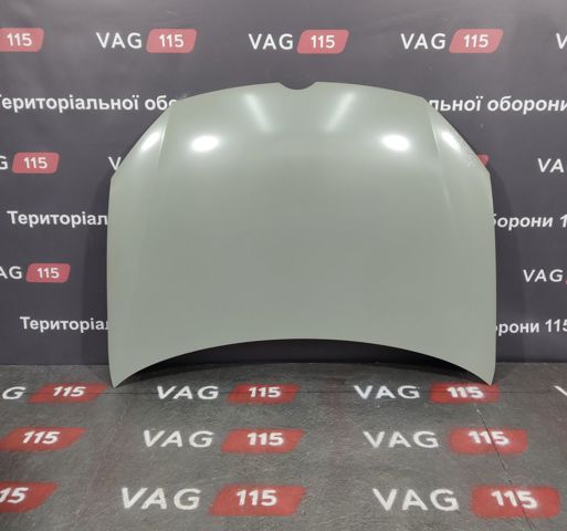 Капот PVW20043A SIGNEDA