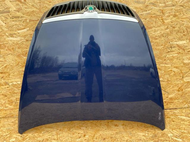 Капот 1Z0823031B VAG