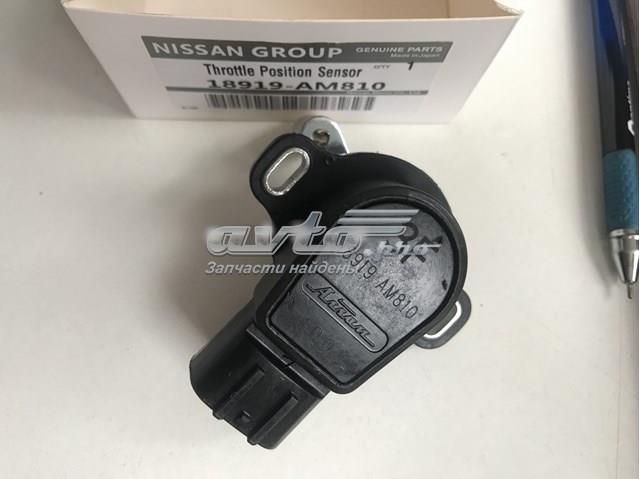 Датчик положення дросельної заслінки 18919AM810 NISSAN
