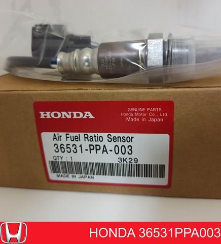 Honda новий оригінал (під замовлення) 36531PPA003