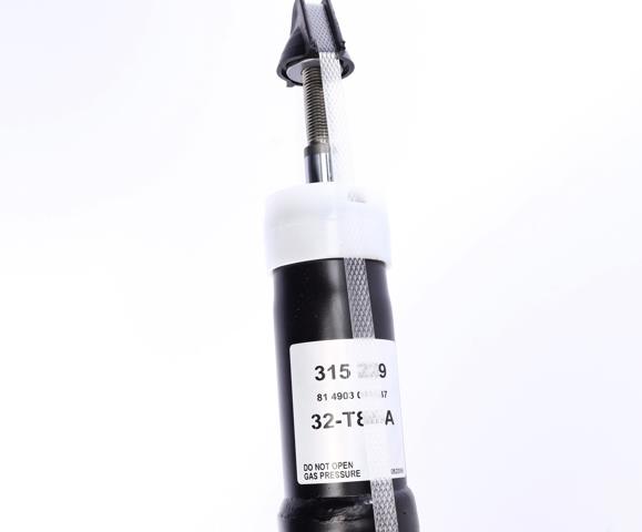 Амортизатори передні 315229 SACHS