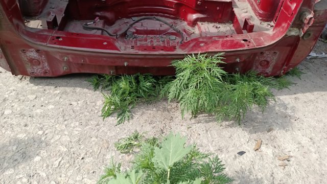 Перегородка 95550130301GRV PORSCHE