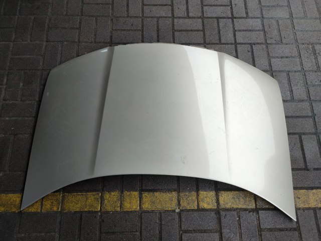 Капот 6Y0823031 VAG
