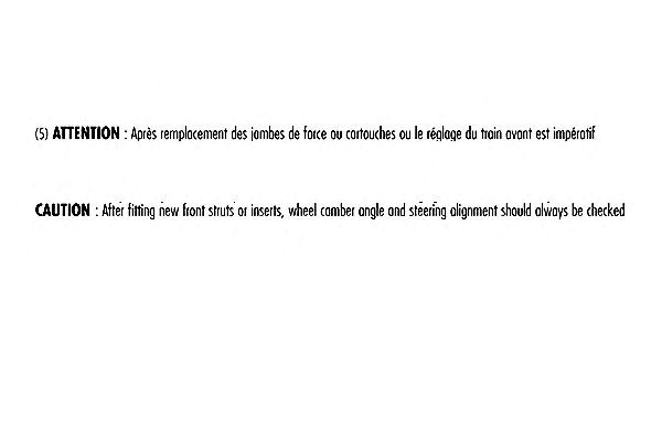 Амортизатор передній 103981 RECORD