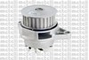 Насос охолодження 240603 METELLI