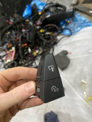 Кнопка скидання добового пробігу 4G19272276PS VAG