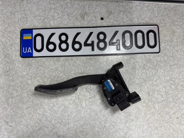Підаль газу 24427004 GM