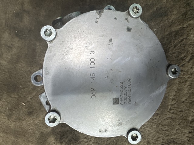 Насос вакуумний 06M145100Q VAG