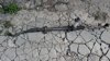 Рейка рульова 565004R100 HYUNDAI