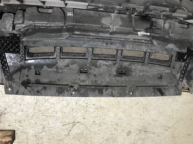 Захист бампера переднього 8R0807233C VAG