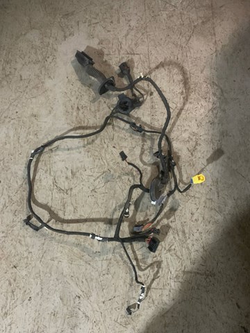 Джгут проводів передньої двері 8R0971029AE VAG