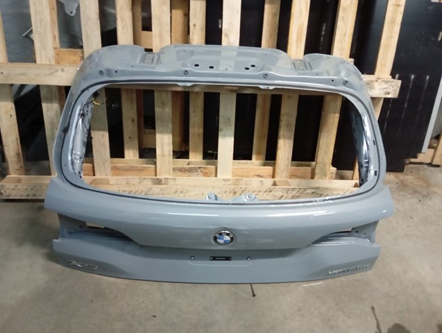 Двері багажника 41007931925 BMW