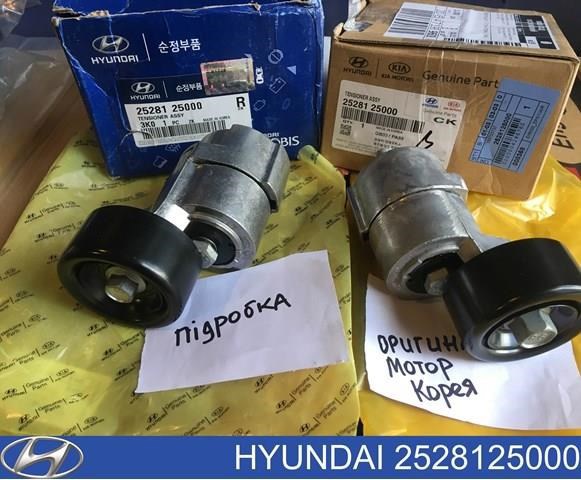 Натяжна планка поліклинового ременя Hyundai Santa Fe 3