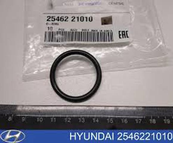 Прокладка фланця (трійника) системи охолодження 2546221010 HYUNDAI