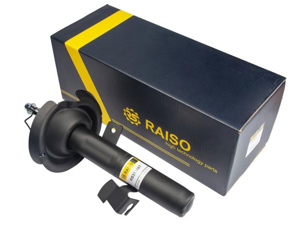 Ліва передня стійка RS313667 RAISO
