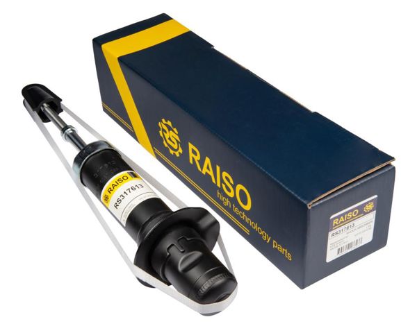 Амортизатор передньої підвіски RS317613 RAISO