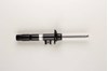 Амортизатори передні 22220080 BILSTEIN