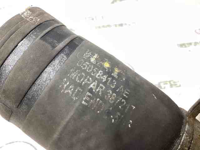 Шланг/патрубок радіатора охолодження, нижній 5058413AE CHRYSLER