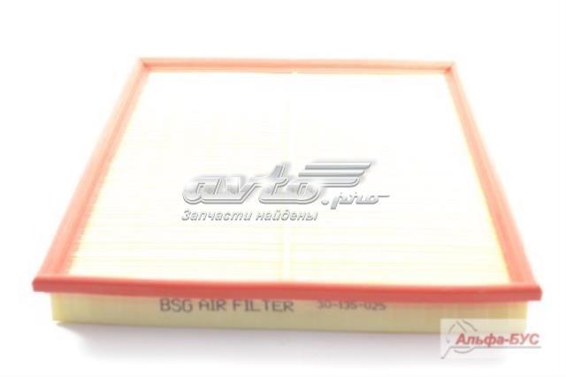 Повітряний фільтр BSG30135025 BSG