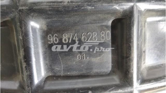  9687462880 Peugeot/Citroen
