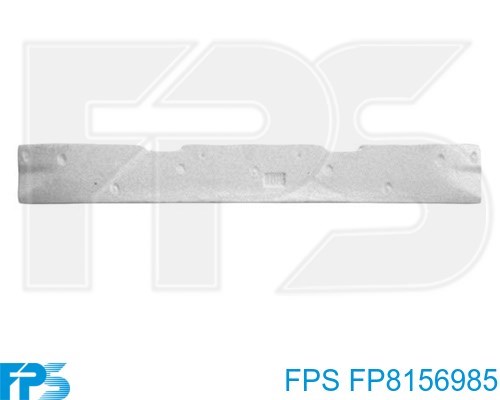  FP8156985 FPS