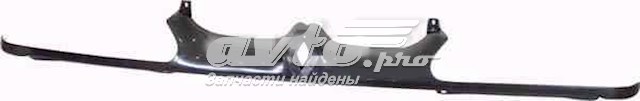 FP6036994 FPS Решітка радіатора