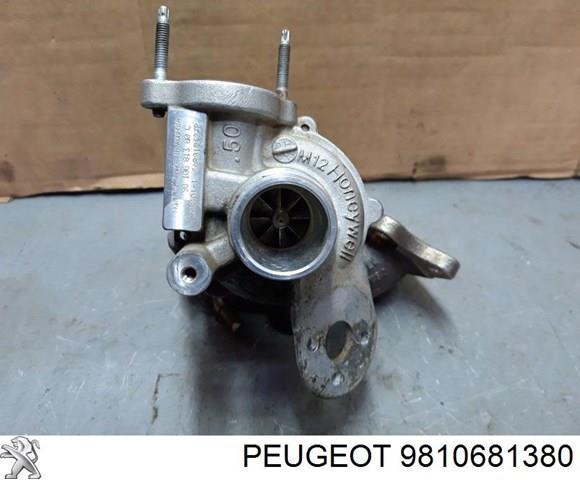 9810681380 Peugeot/Citroen 