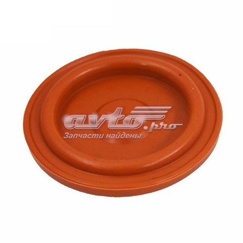  KLLR010780 Klifex