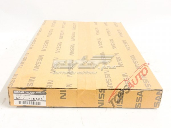 A01011CA0A Nissan/Infiniti Набір прокладок двигуна