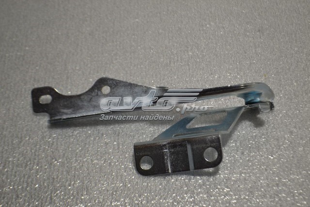 Завіса капота права FPS FP4424286 ціна, від 11.40 USD