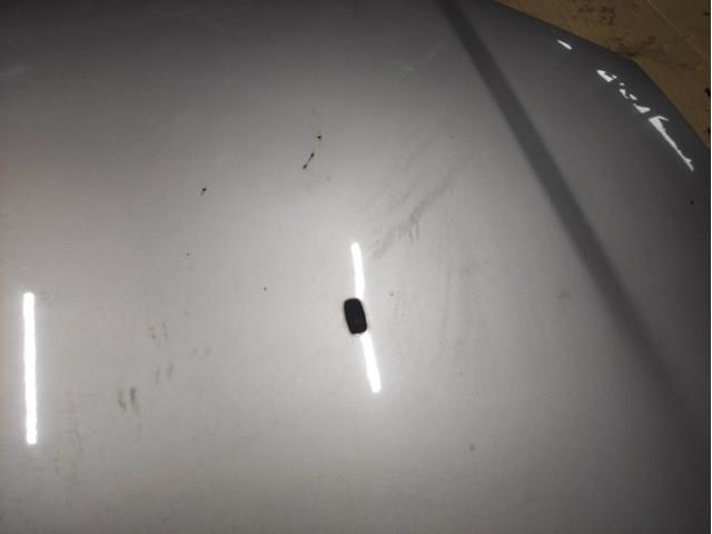 Купити 1217457 Ford Капот