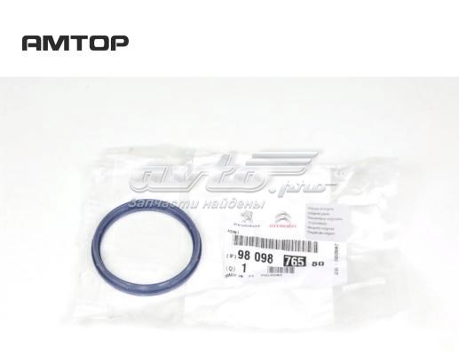 Прокладка EGR-клапана рециркуляції 9809876580 Peugeot/Citroen