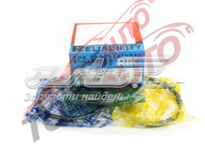 Купити 23315050 Riken 