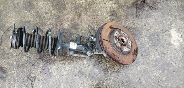 Амортизатори передні Renault (RVI) 543024393R