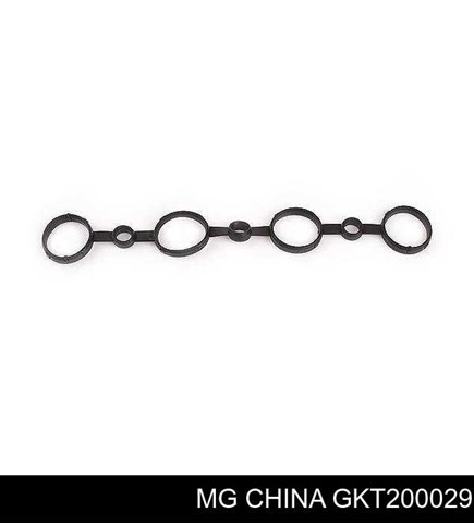 GKT200029 MG 