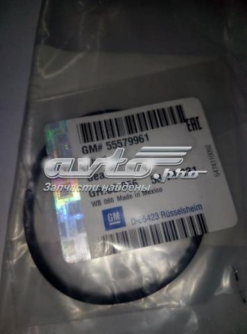  General Motors 55579961