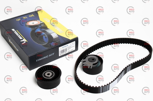  FM010573 Michelin