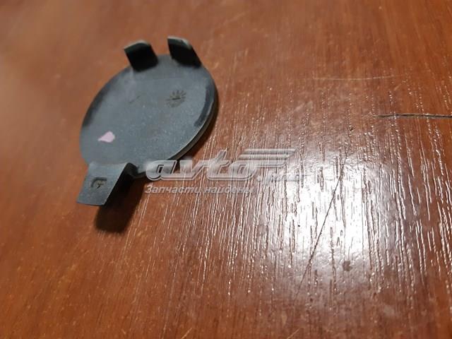 Купити 108417300E Tesla Заглушки буксирувального гака