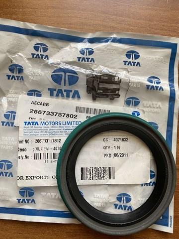  Tata 266733757802