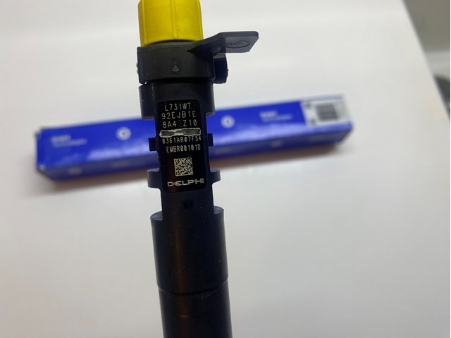 Паливні форсунки EMBR00101DP Delphi