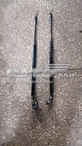 Купити D10E62620 Mazda Амортизатор двері багажника