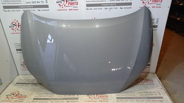 PTY20283A Signeda Капот