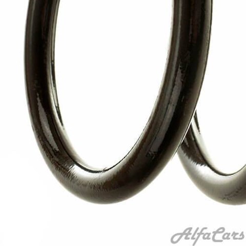 SS8153 DP Group Пружина амортизатора передняя